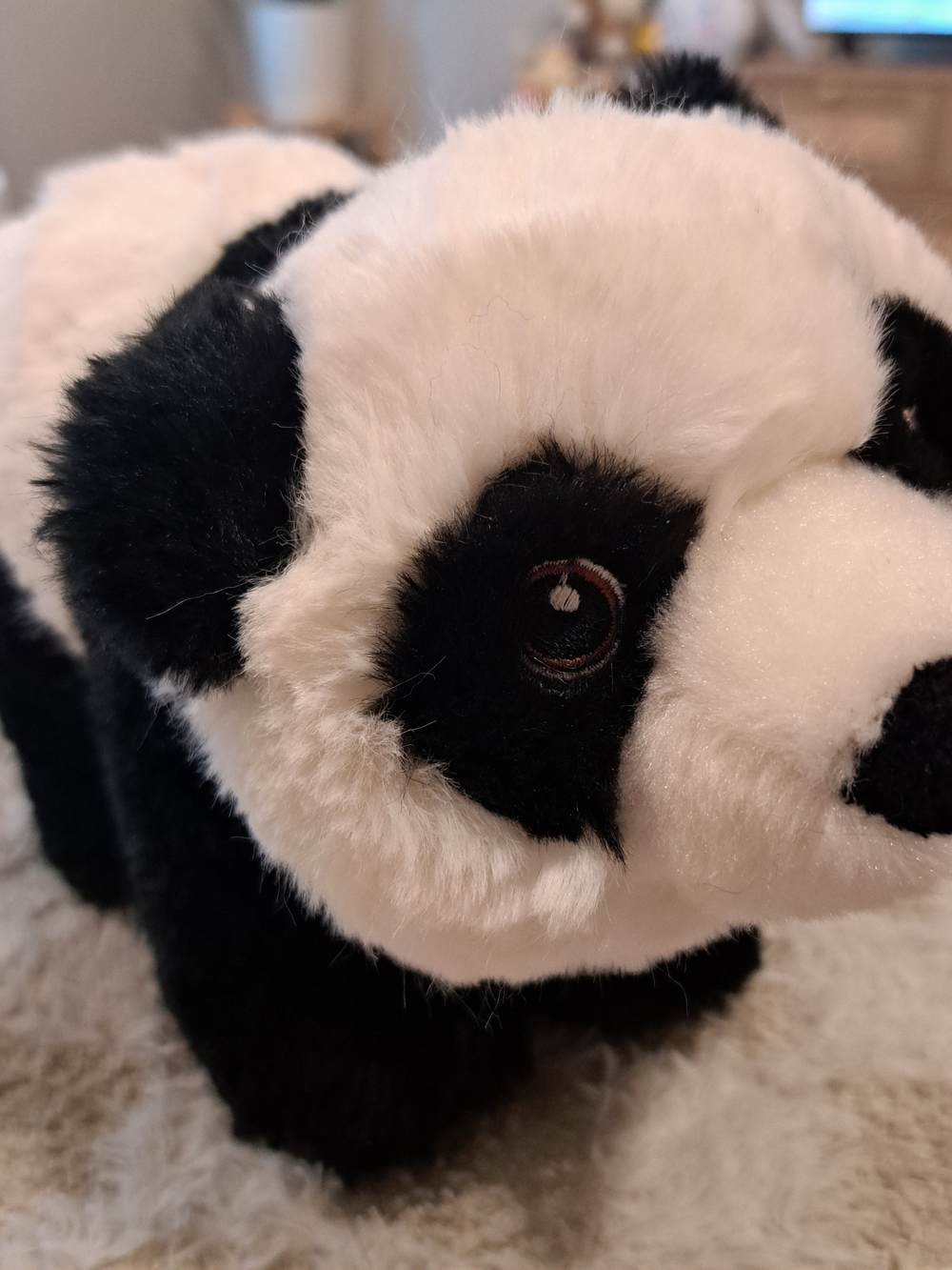 Aurora Eco Nation 9" Panda plush toy - Picture 5 of 5